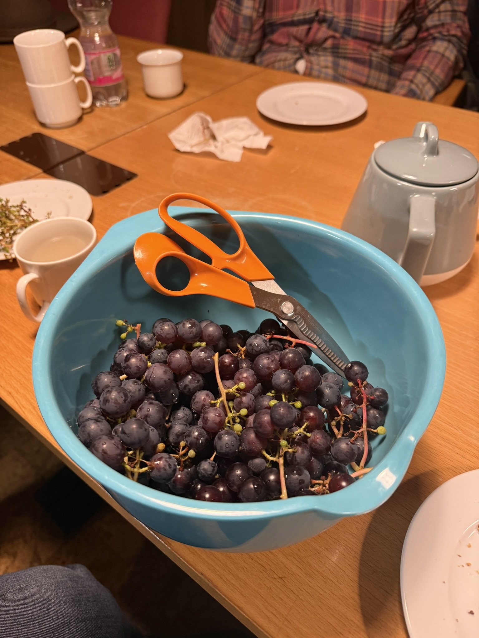IMG_9296.JPEG